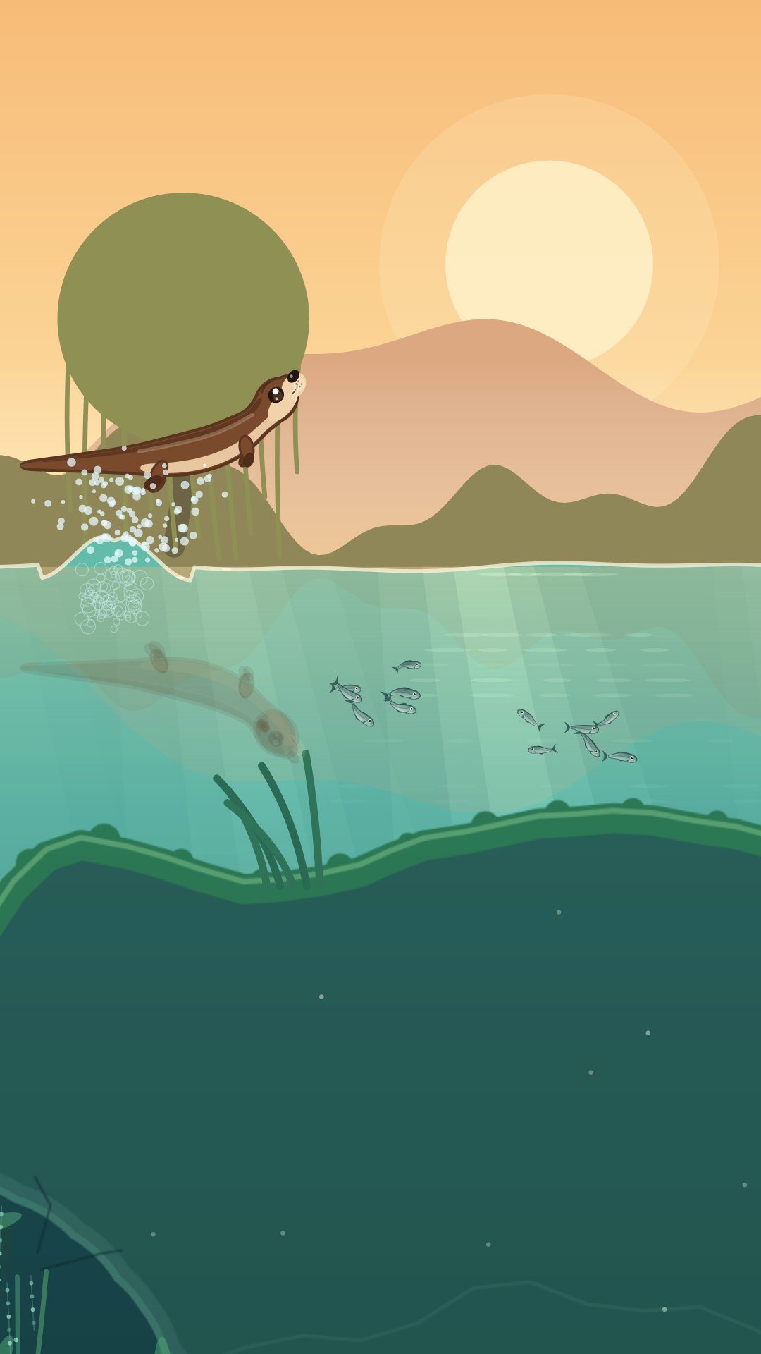 The otter leaping clear of the water at sunset